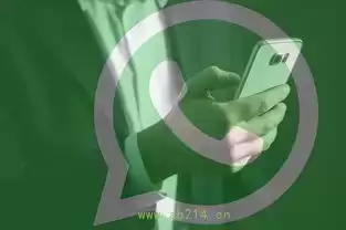 Whatsapp下载声音提醒与振动模式,静音也不漏看,whatsapp下载不了语音-WhatsApp官网