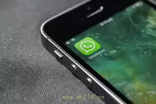 Whatsapp中文版离线消息提醒:在无网络时也不漏消息,whatsapp watusi-WhatsApp官网